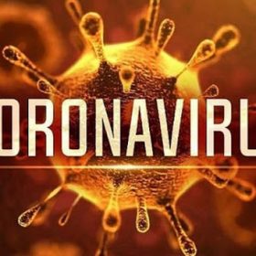 Virus corona, tình hình Virus Corona tại Việt Nam và Thế Giới